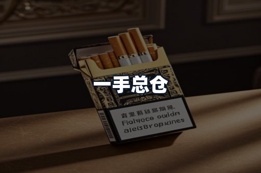 一手总仓